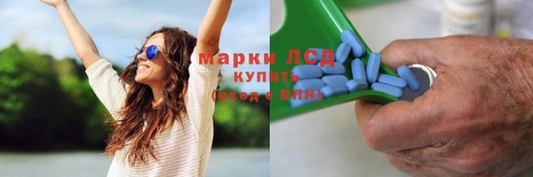 трава Аркадак
